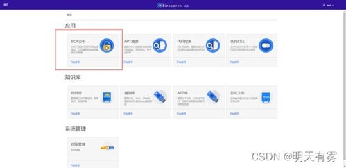 守護(hù)軟件供應(yīng)鏈安全 國(guó)產(chǎn)軟件binsearch的最佳實(shí)踐與網(wǎng)絡(luò)技術(shù)服務(wù)